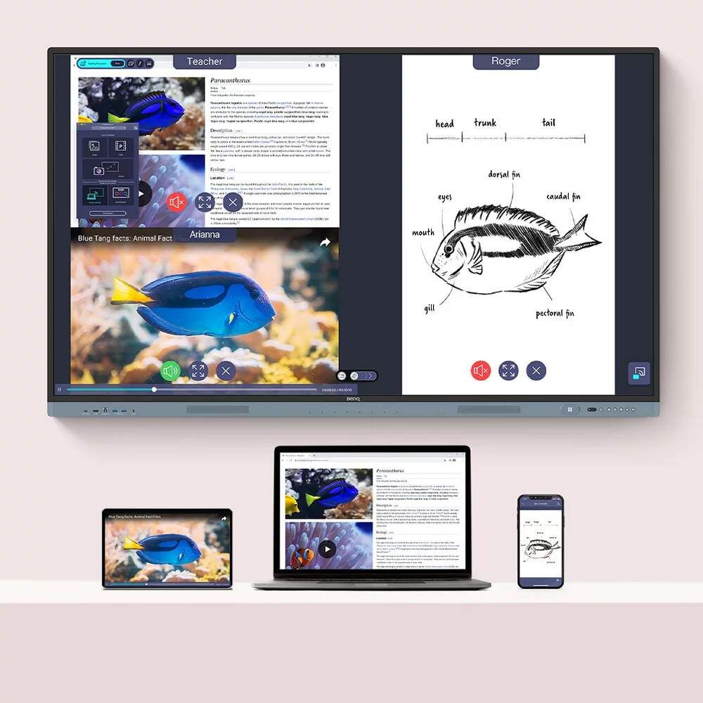 BenQ Board Master RM04 serie (RM6504 / RM7504 / RM8604)